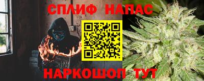 бошки Кингисепп
