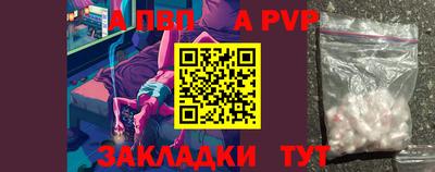 бошки Кингисепп