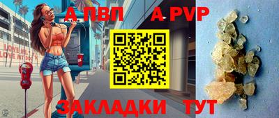 бошки Кингисепп
