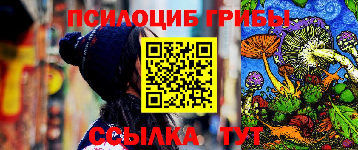 Псилоцибиновые грибы мухоморы  Вход с VPN  Галлюциногенные грибы Psilocybe  Кызыл 