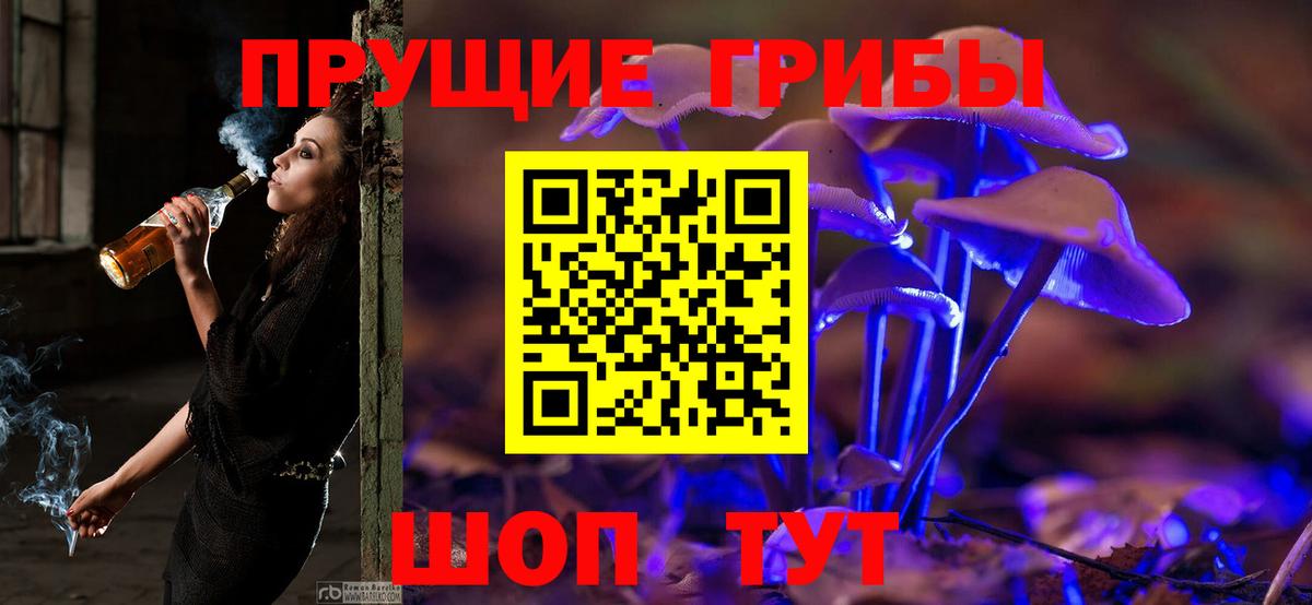 Codein Кызыл
